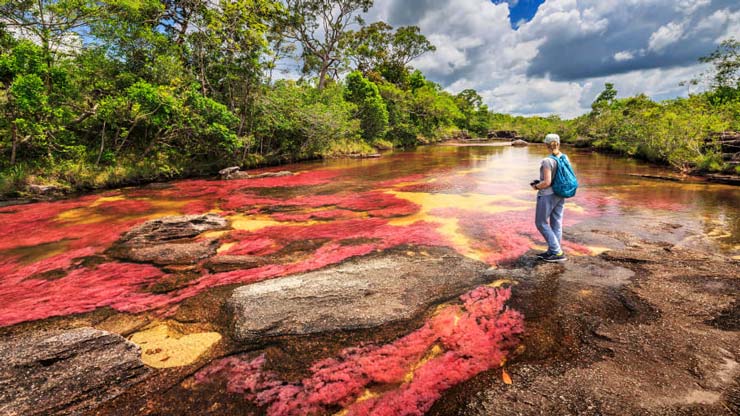 Caño Cristales