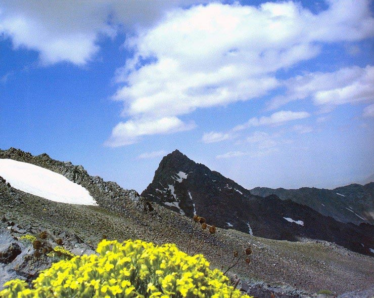کوه الوند همدان