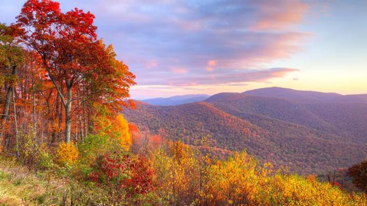 Congaree National Park, South Carolina