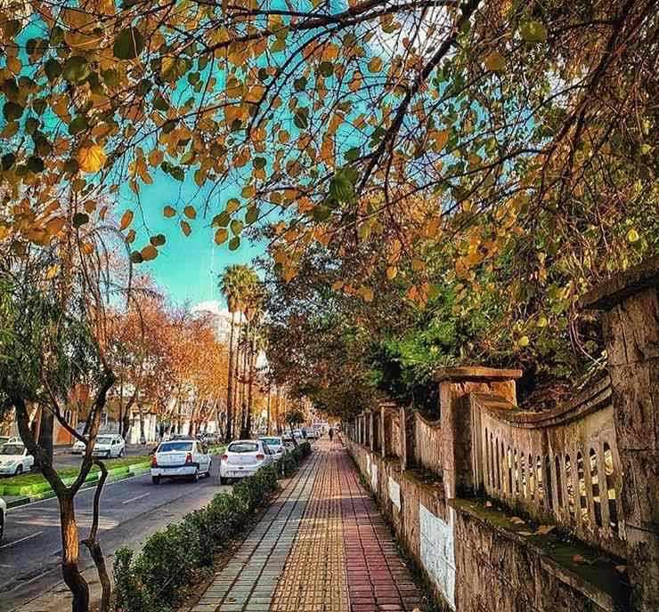 باغ محتشم