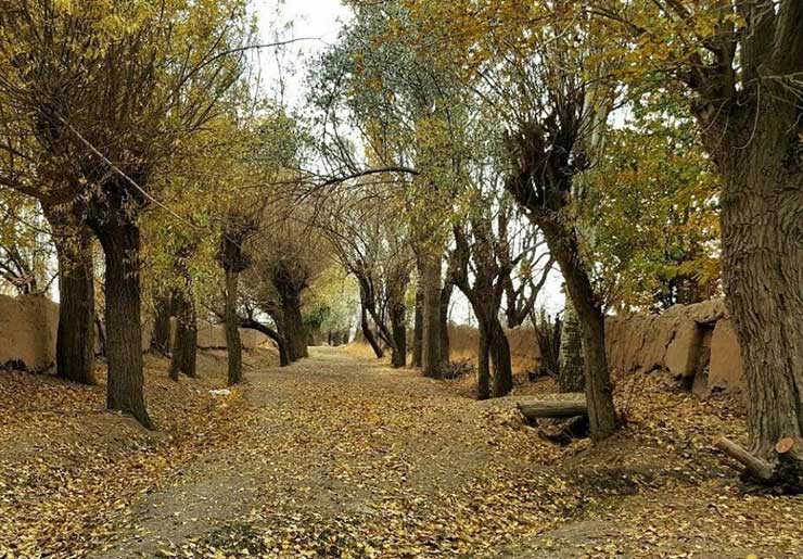 فرمهین