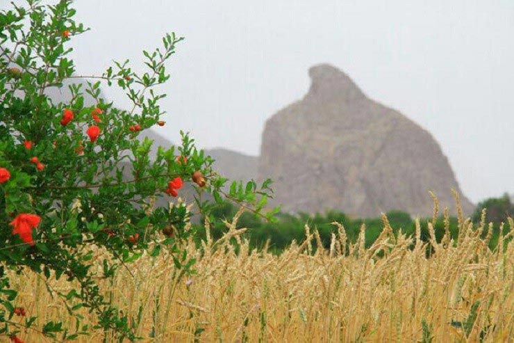 اسلامیه تفت یزد