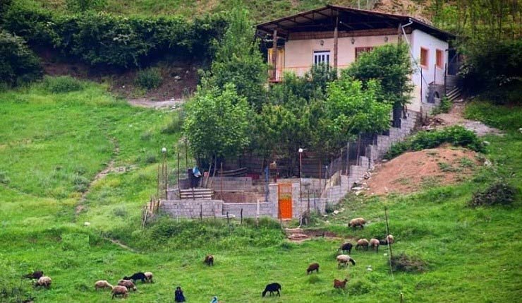 روستای زیارت گرگان