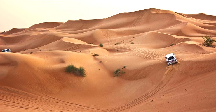  سافاری و گشت و گذار با ماشین 