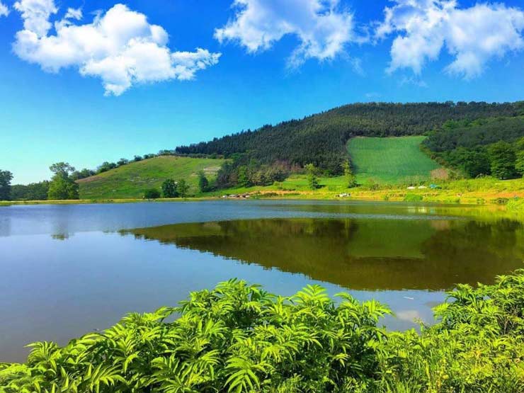 آب و هوای گرگان 