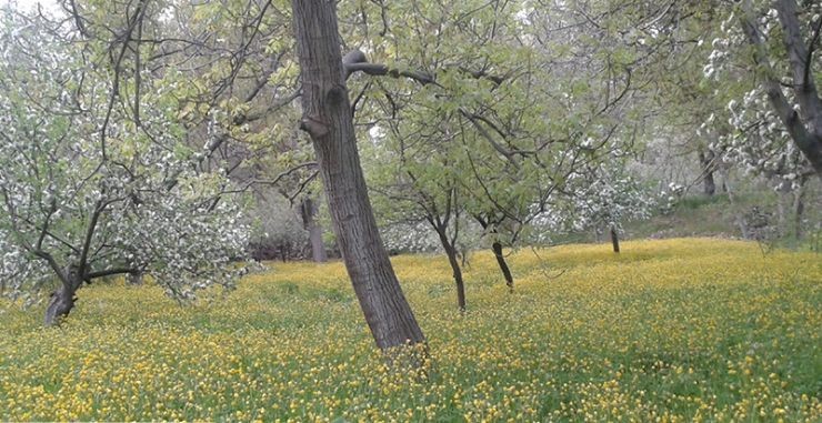 روستاهای تبریز
