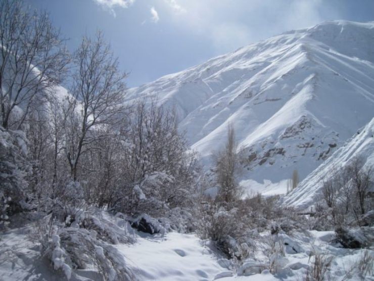 زمستان