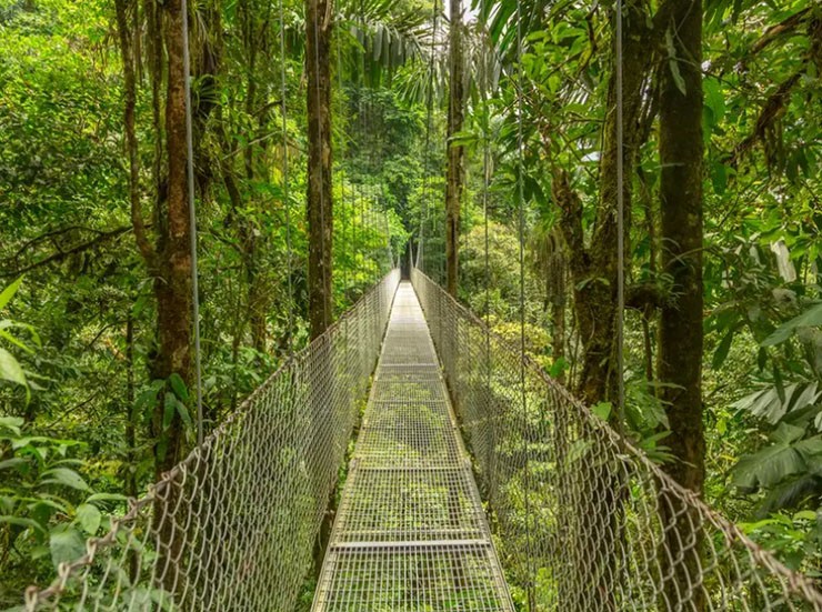 The Sky Walk at Monteverde Park, Costa Rica