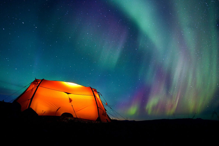 Sarek