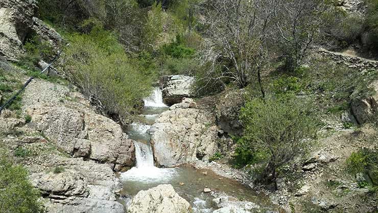 ابشار گلوکان