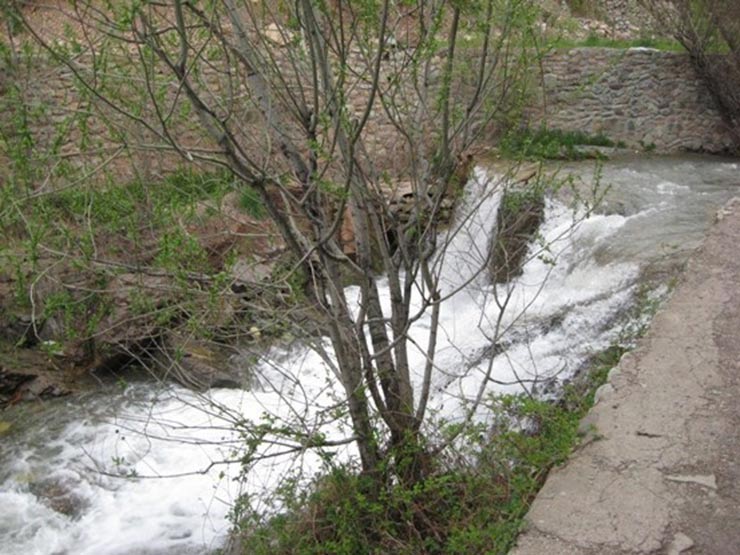 ابشار گلوکان