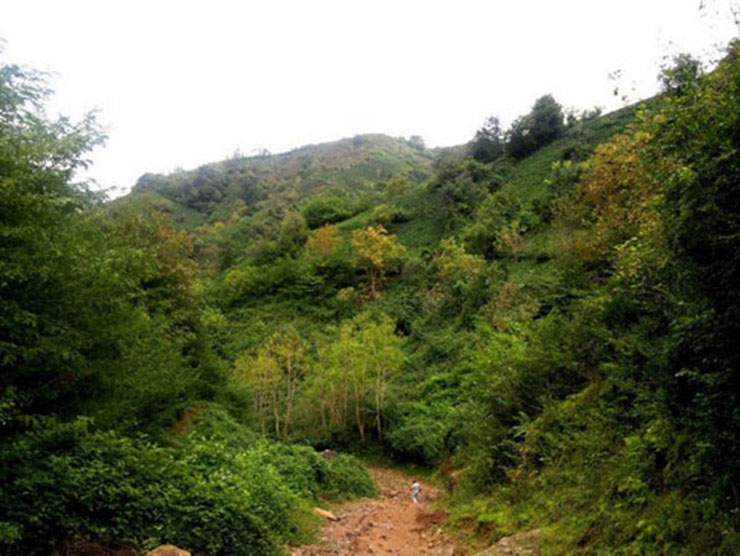 لیلا کوه لنگرود