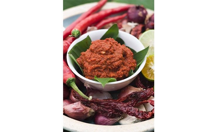 precise techniques of Nyonya