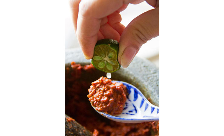 precise techniques of Nyonya