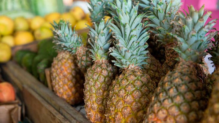 Antigua Black pineapple