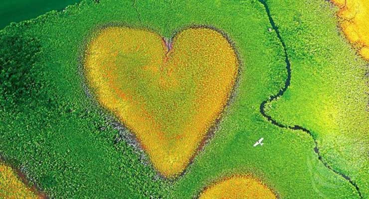 Coeur de Voh, New Caledonia