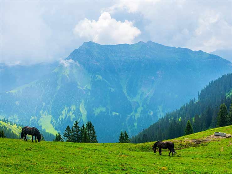 High-altitude hikes in Liechtenstein