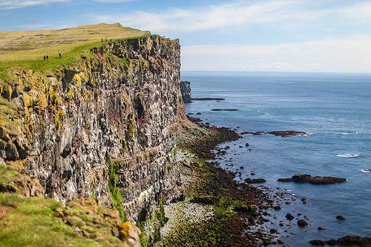 Látrabjarg bird cliffs, Iceland