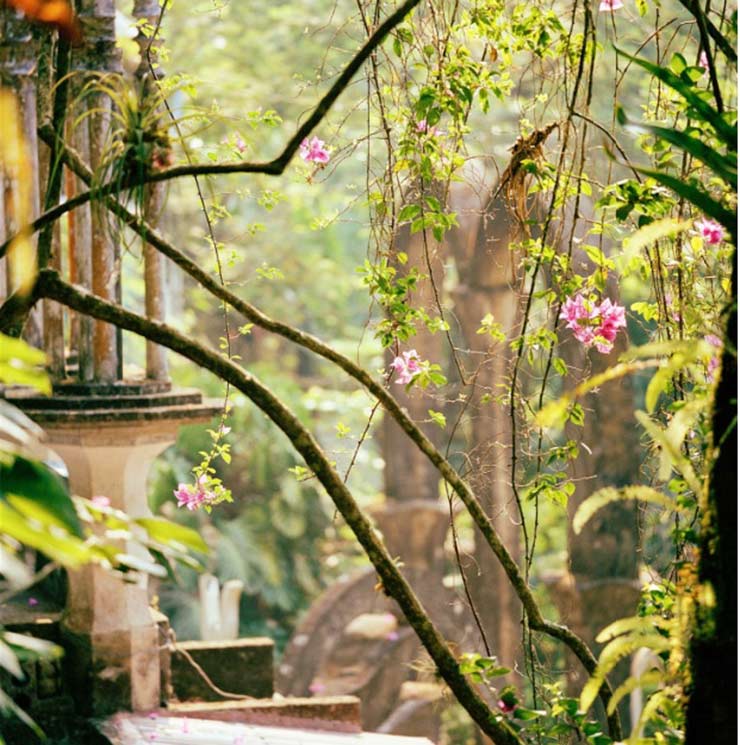 The sculptures at Las Pozas are blanketed with the verdant jungle