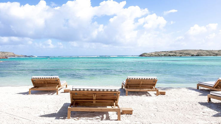 Our top picks include: