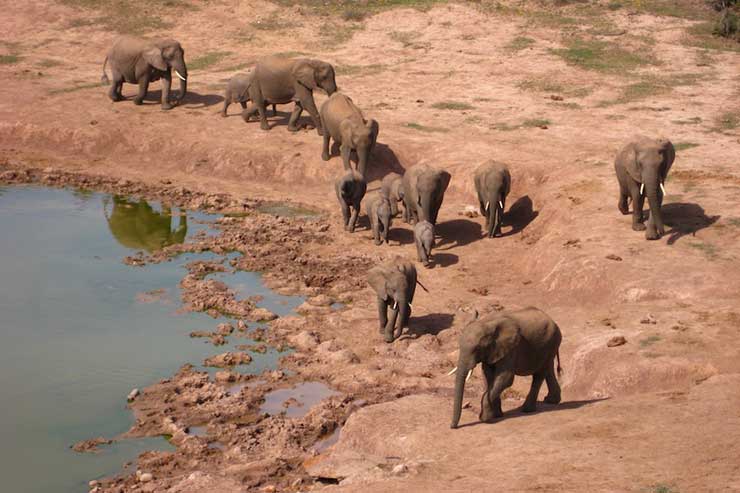 Addo Elephant National Park