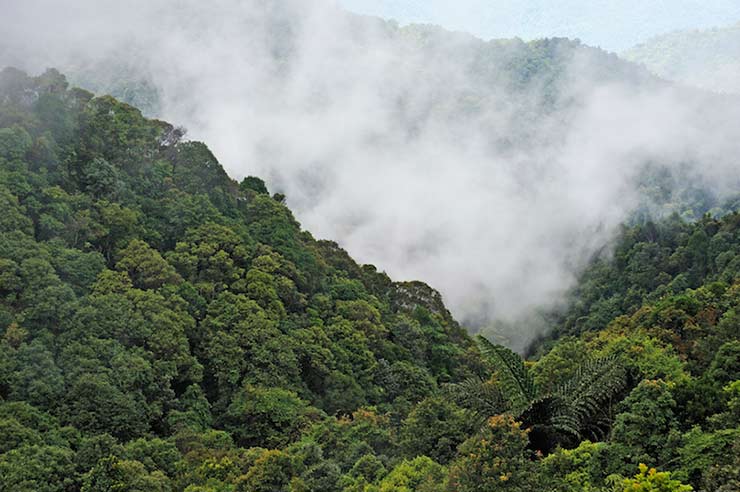Bach Ma National Park