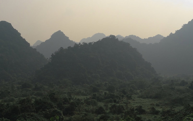 Cuc Phuong National Park