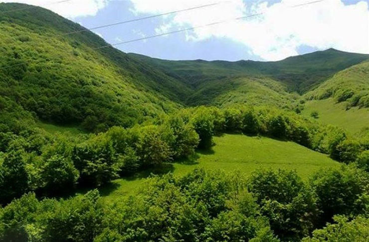 جنگل فندقلو اردبیل