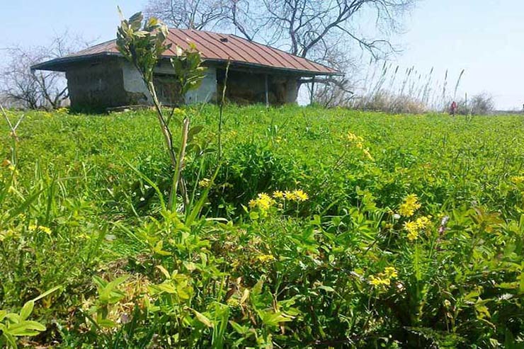 روستای گالشکا