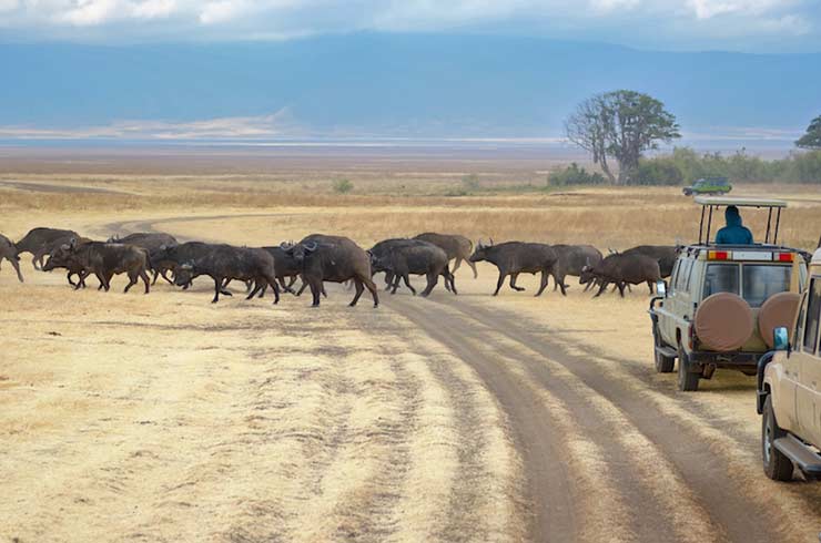Kruger National Park