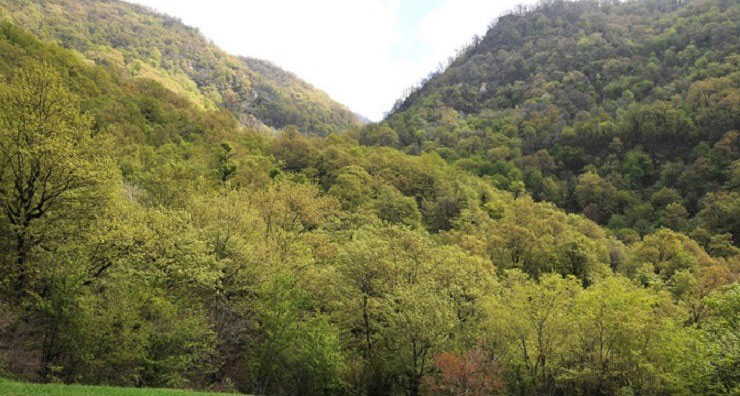آبشار لولوم مینودشت