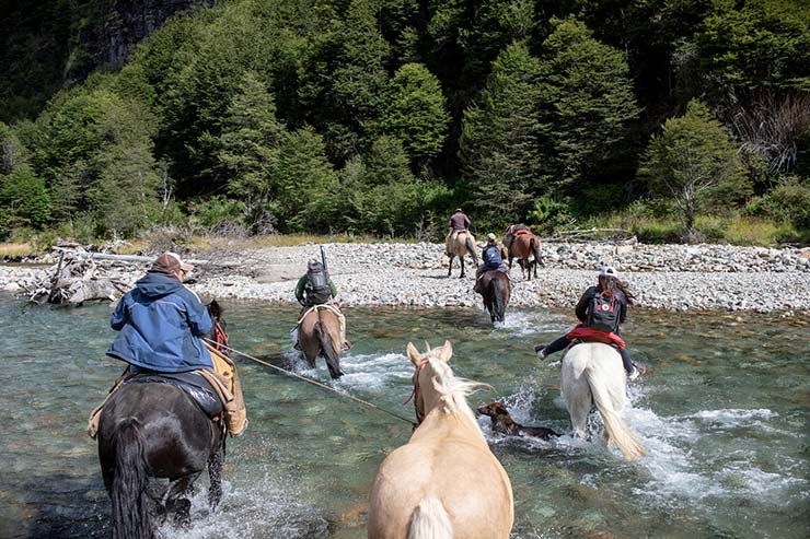 A guided fishing group crosses the Mogote River.