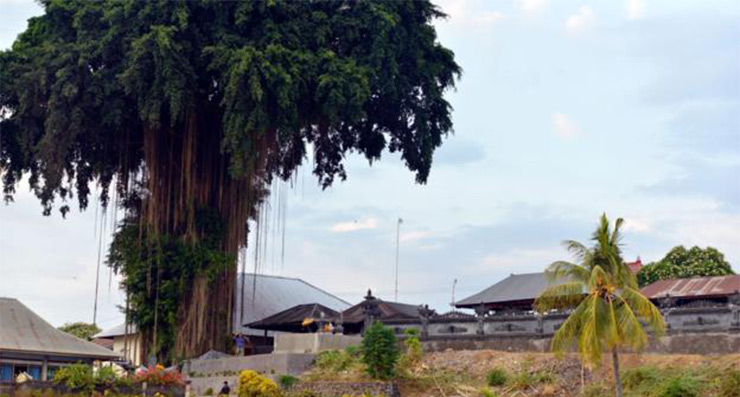 Kata Kolok