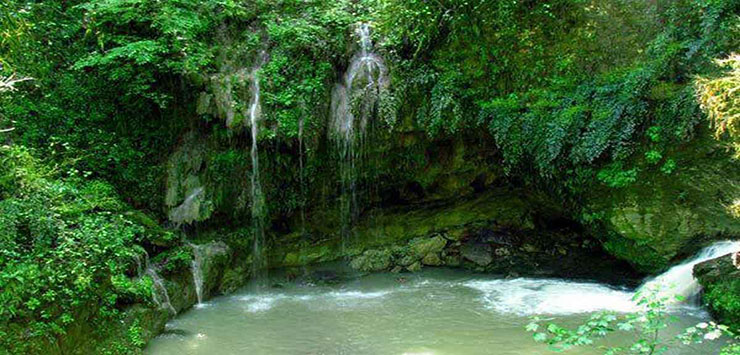 پلنگ دره