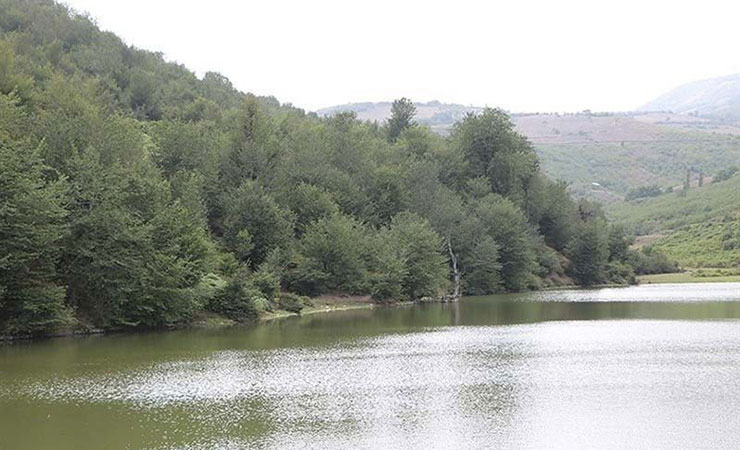 سد شوک