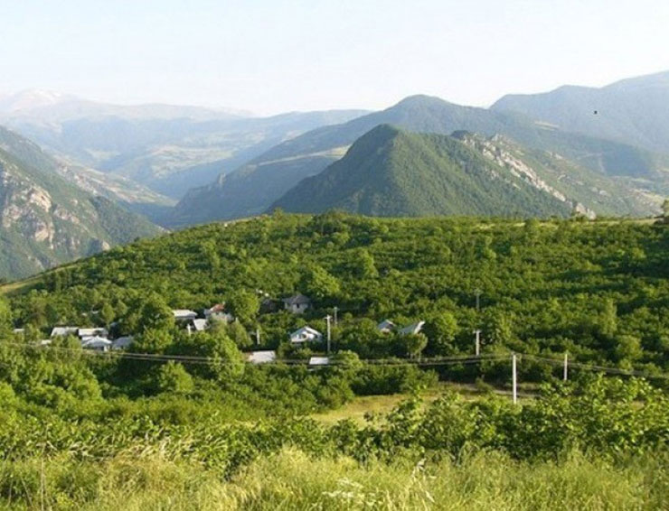 سد شوک