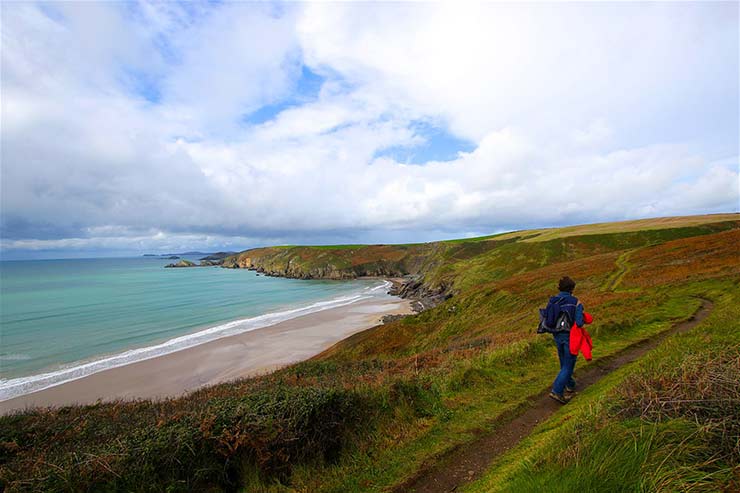 The Wales Way