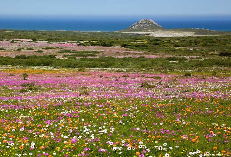 West Coast National Park