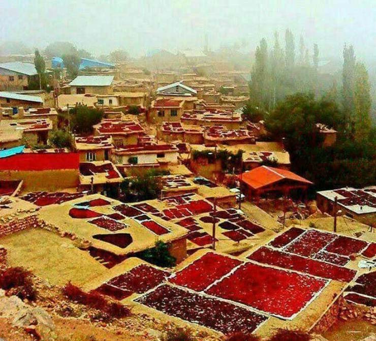 جشن زغالاخته روستای هیر قزوین