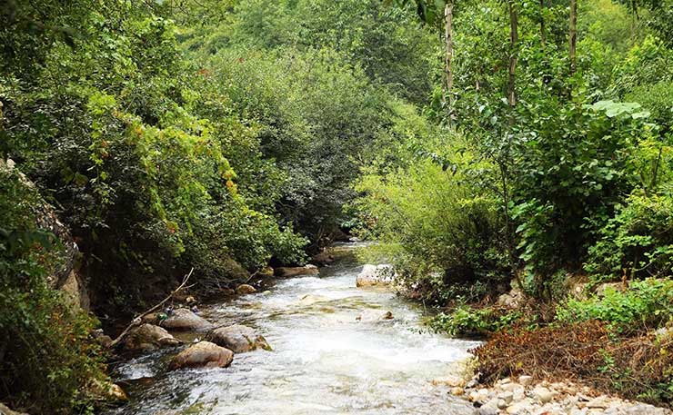 جشن زغالاخته روستای هیر قزوین