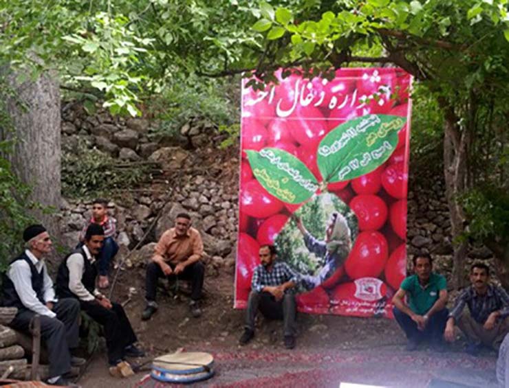 جشن زغالاخته روستای هیر قزوین