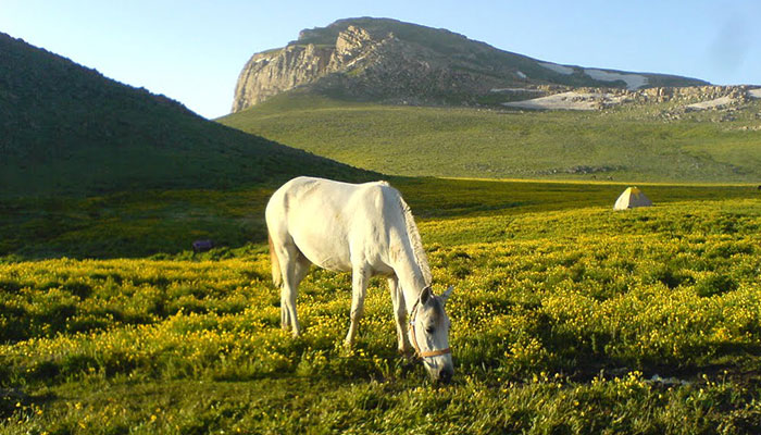 دشت زیبای لپاسر