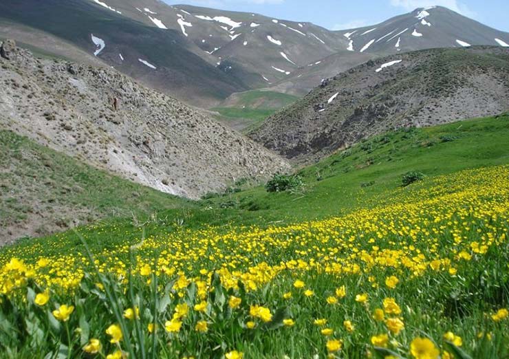 اَردها، روستایی توریستی در کوهپایه های شمالی ارتفاعات بزقوش