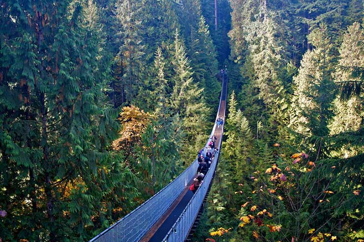 Capilano Suspension Bridge