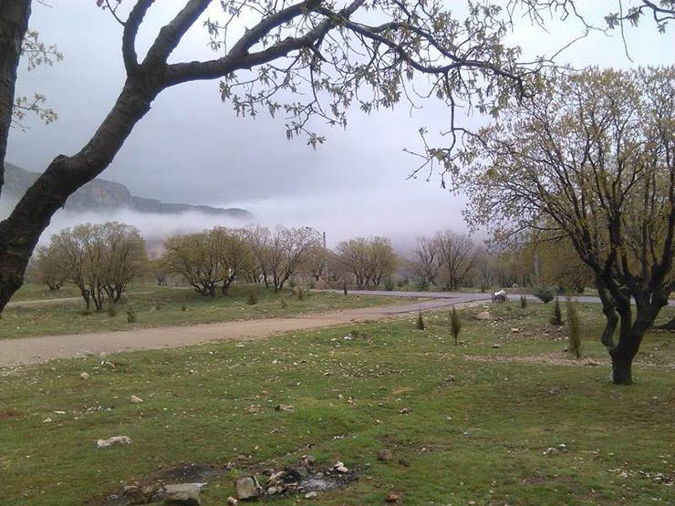 پارک جنگلی چغا سبز در ایلام