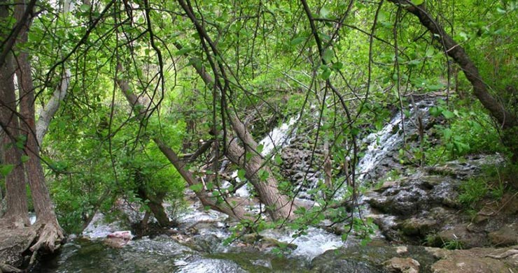 چهلمیر