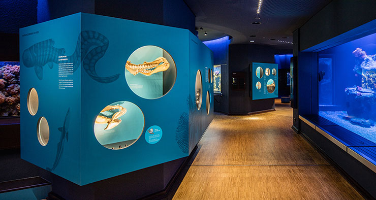 Aquazoo Löbbecke Museum Düsseldorf
