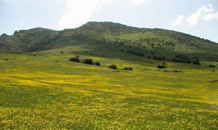 منطقه ی داماش