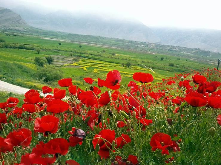 شهرستان ایذه در استان خوزستان مهد تاریخ و طبیعت