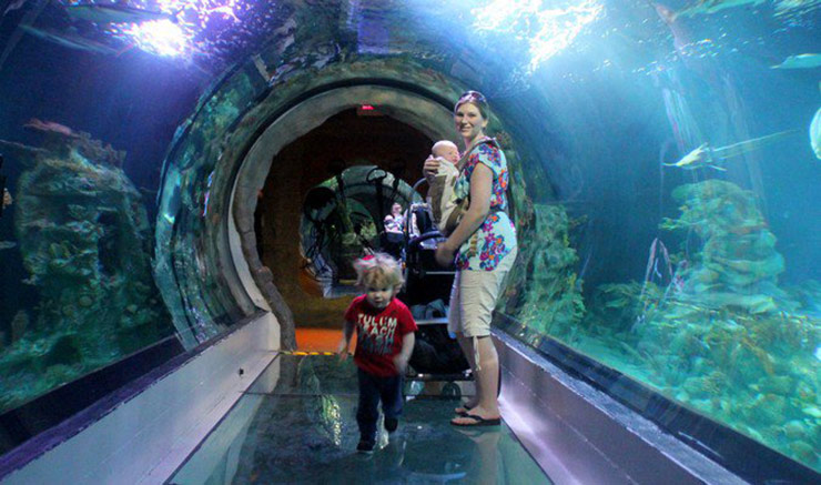 FAMILY TRAVEL